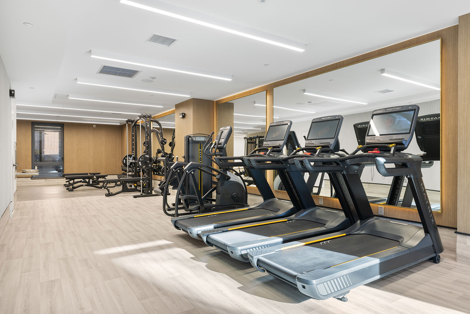gym